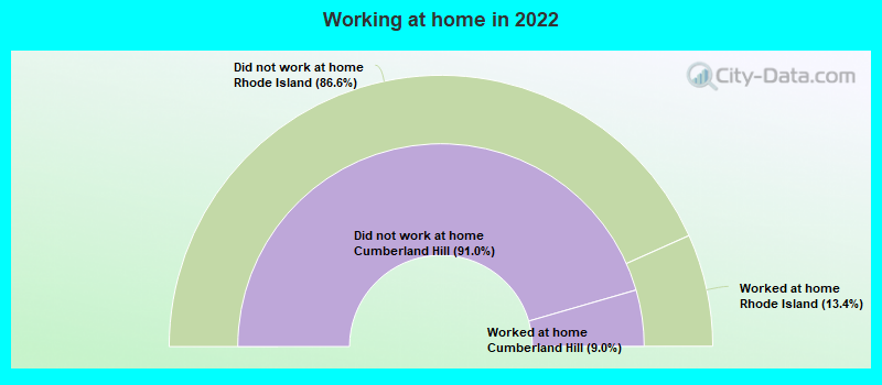 Working at home in 2022