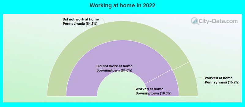 Working at home in 2022