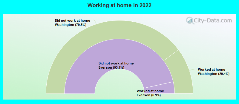 Working at home in 2022