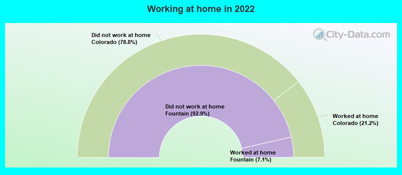 Working at home in 2022