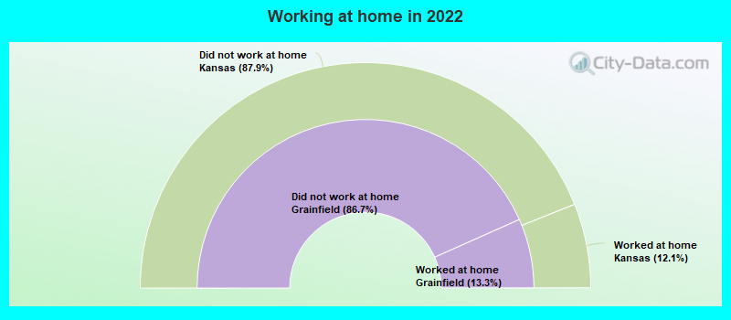 Working at home in 2022