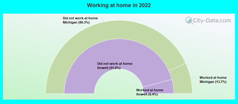 Working at home in 2022