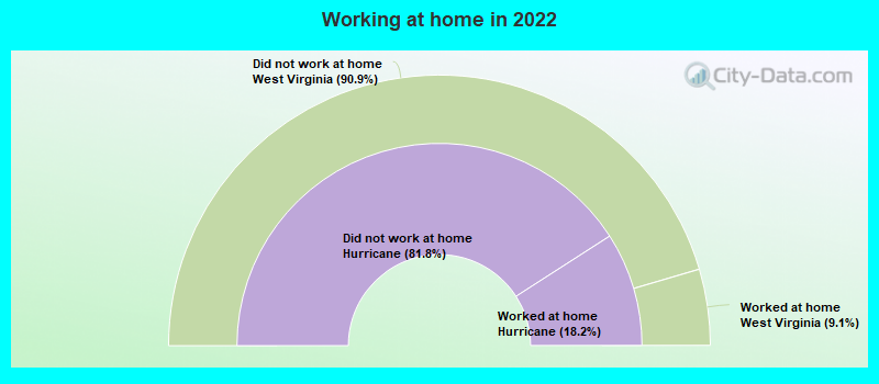 Working at home in 2022