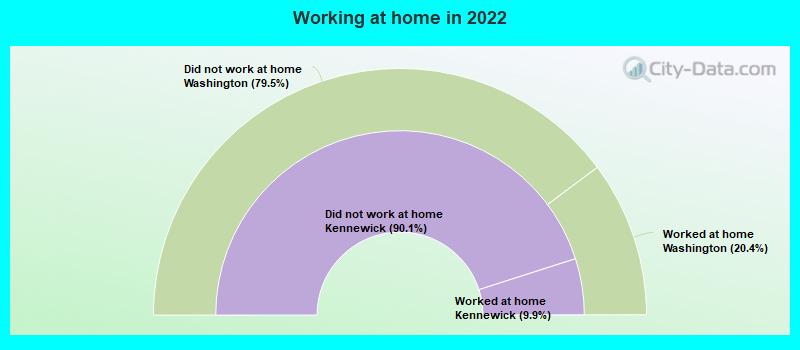 Working at home in 2022