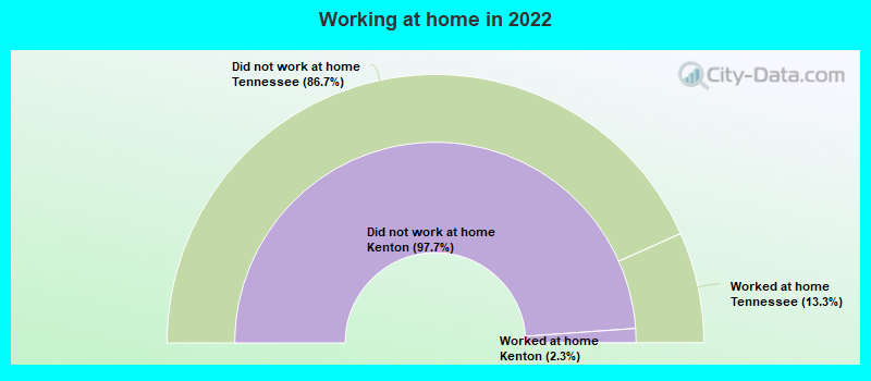 Working at home in 2022