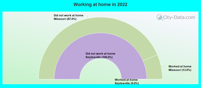 Working at home in 2022