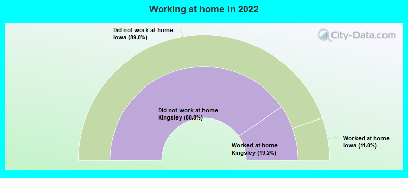 Working at home in 2022