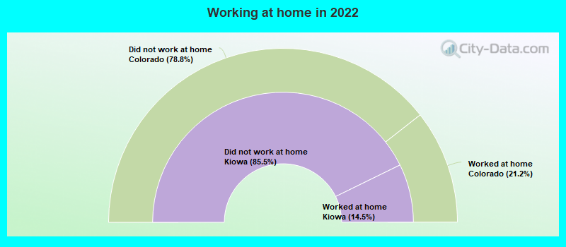 Working at home in 2022