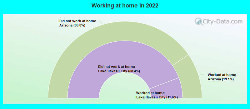 Working at home in 2022