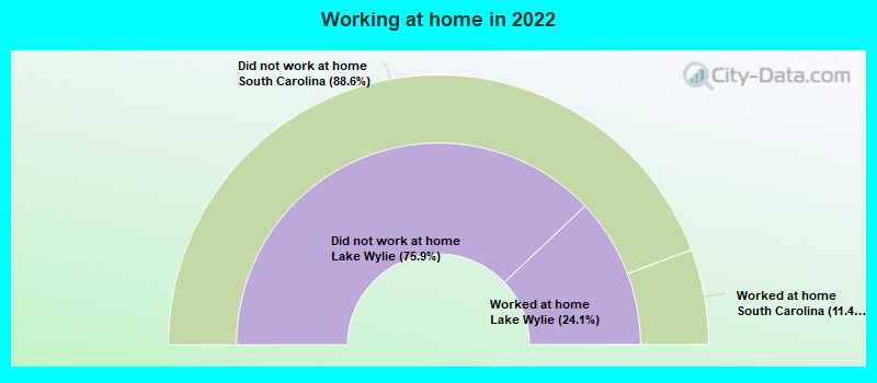 Working at home in 2022