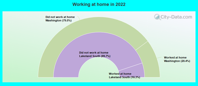 Working at home in 2022