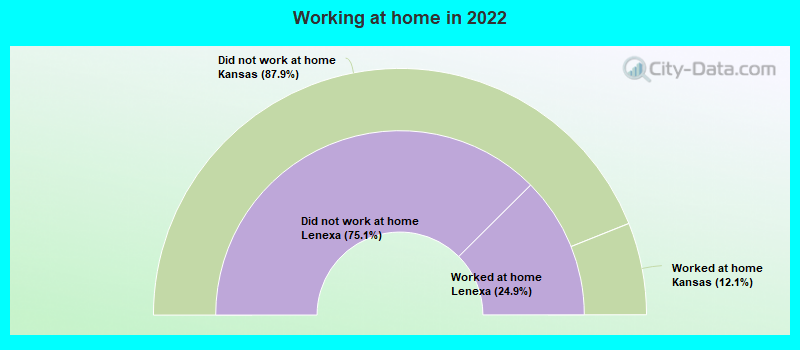 Working at home in 2022