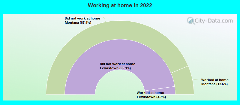 Working at home in 2022