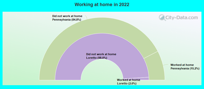 Working at home in 2022