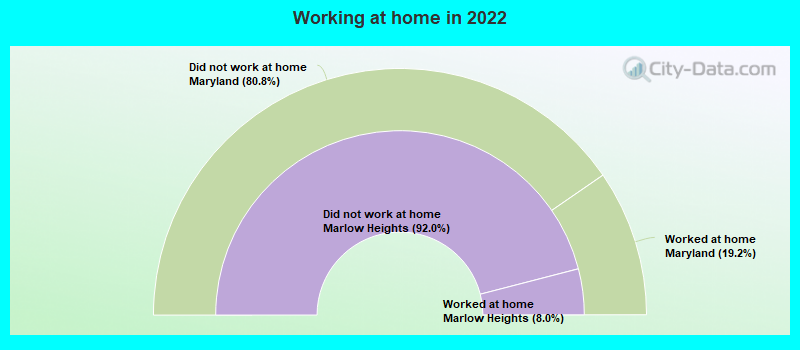 Working at home in 2022