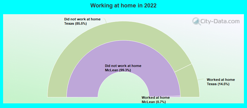 Working at home in 2022