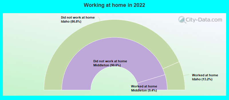 Working at home in 2022