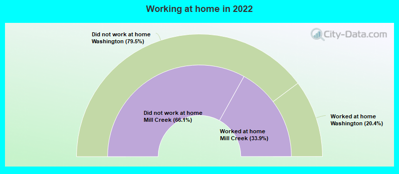 Working at home in 2022