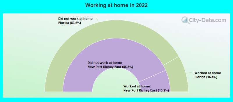 Working at home in 2022