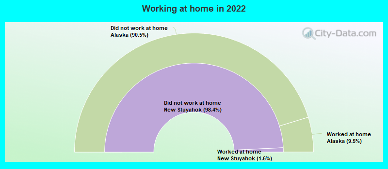 Working at home in 2022