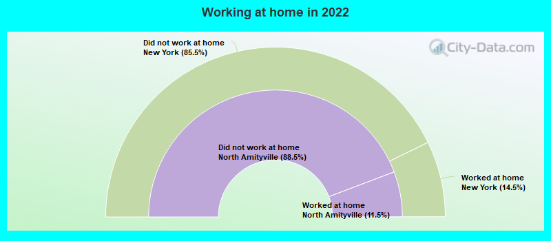 Working at home in 2022