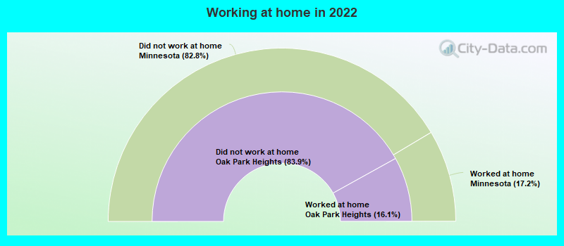 Working at home in 2022