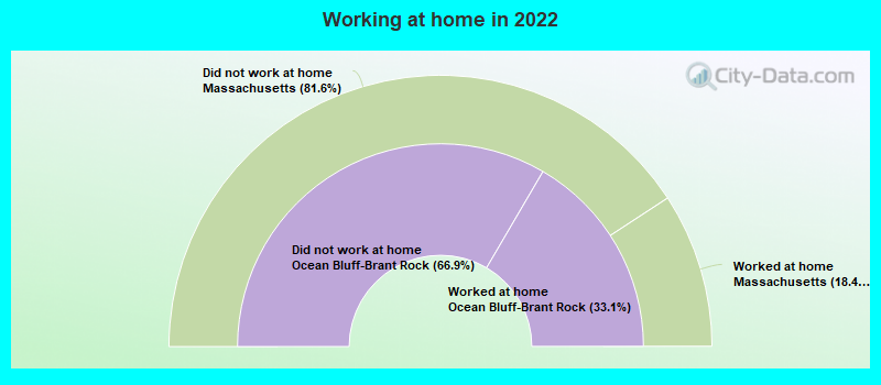 Working at home in 2022