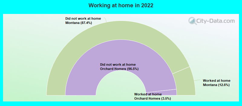 Working at home in 2022