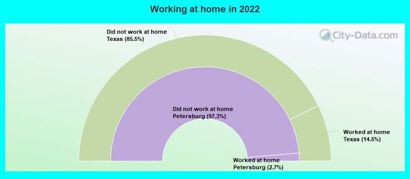 Working at home in 2022