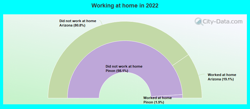 Working at home in 2022