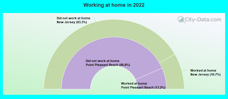 Working at home in 2022