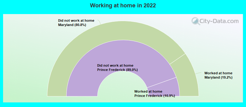 Working at home in 2022