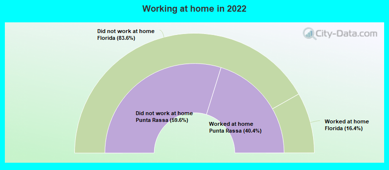 Working at home in 2022