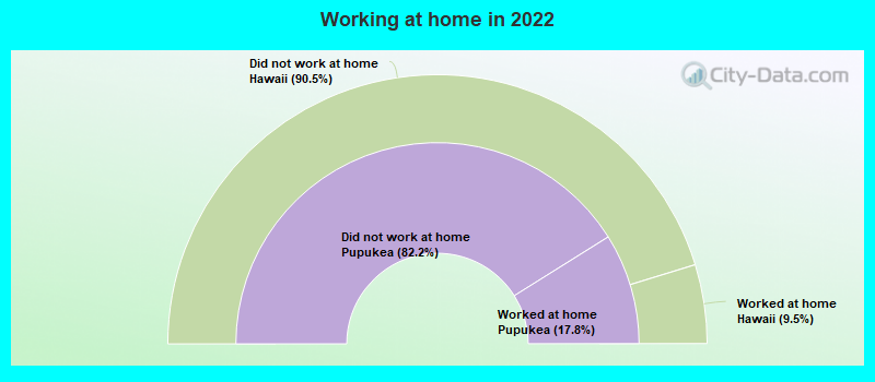 Working at home in 2022