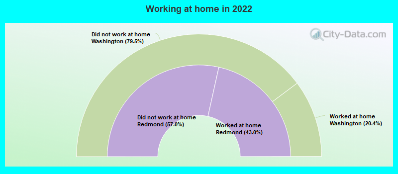 Working at home in 2022