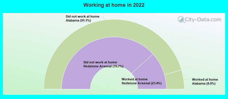 Working at home in 2022