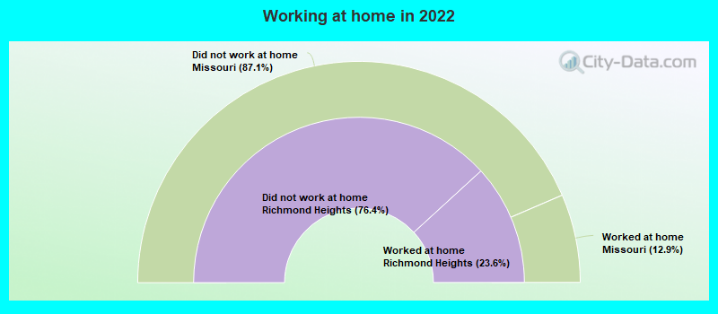 Working at home in 2022