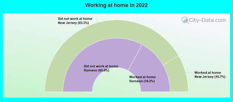 Working at home in 2022