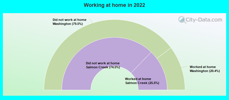 Working at home in 2022