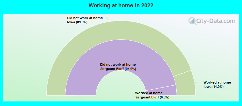 Working at home in 2022