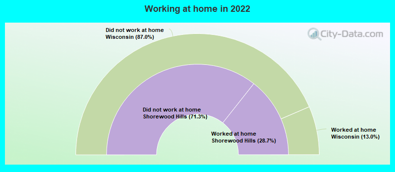 Working at home in 2022