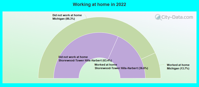 Working at home in 2022