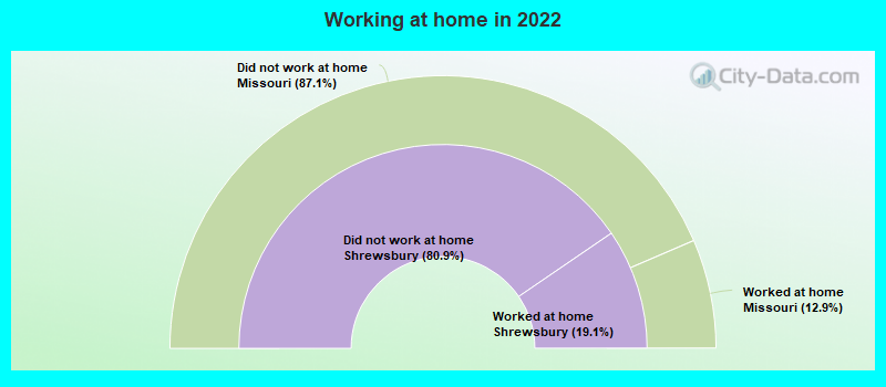 Working at home in 2022