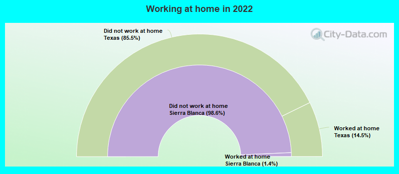 Working at home in 2022