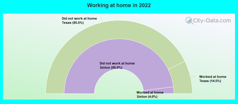 Working at home in 2022