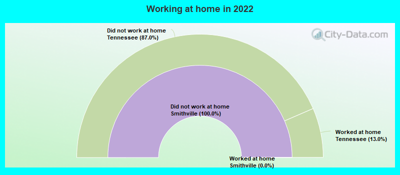 Working at home in 2022