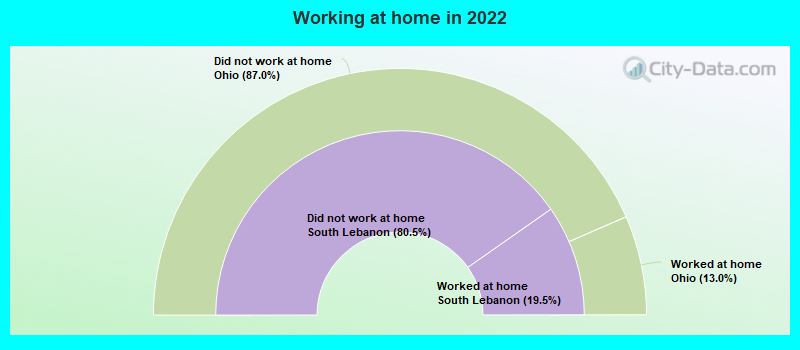 Working at home in 2022