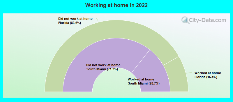 Working at home in 2022