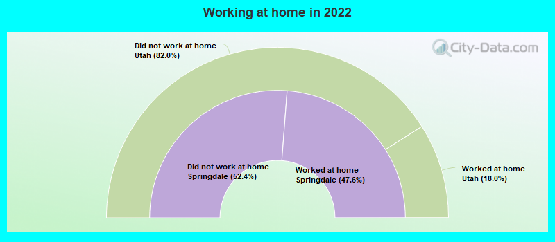 Working at home in 2022