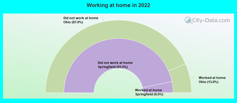 Working at home in 2022